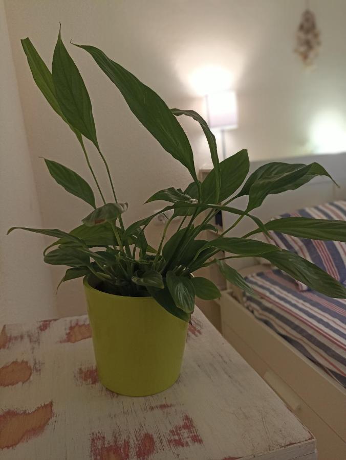 Confortable Habitacion Centrica En Piso Privado Apartman Málaga Kültér fotó